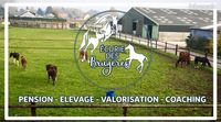 Ecurie des Bruyeres